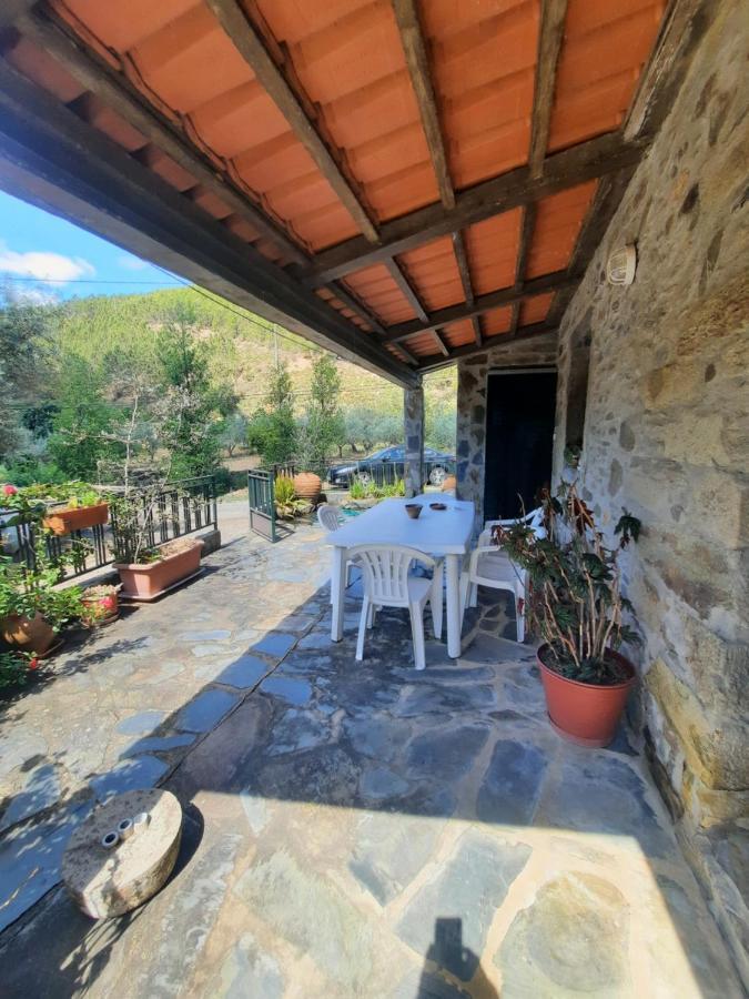 Casa Penafalcao Castelo Branco  Exteriér fotografie